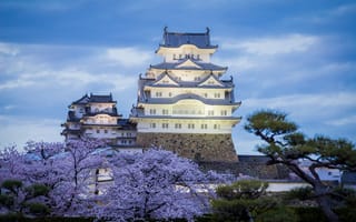Картинка вечер, замок, япония, весна, химэдзи