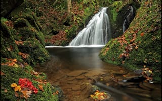 Картинка лес, водопад, германия, листья, мох, осень, рейнланд-пфальц