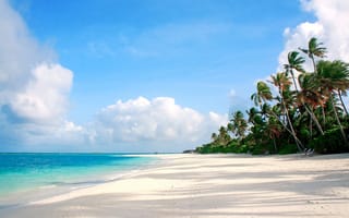 Обои море, остров, мальдивы, пальмы, отдых, пляж, тропики