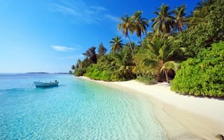 Обои море, пальмы, отдых, пляж, остров, лодка, тропики, мальдивы
