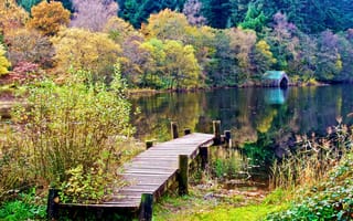 Картинка деревья, мостик, леса, природа, озеро, шотландия, домик, осень