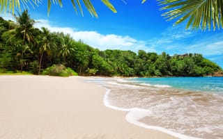 Картинка море, пляж, пальмы, тропики, отдых