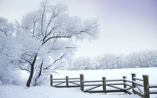 Картинка деревья, пейзаж, снег, зима, забор, лес, природа