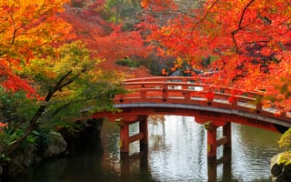Картинка деревья, пруд, осень, япония, киото, сад, мост, ветки