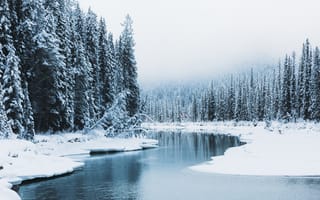 Картинка река, снег, лес, зима, канада, природа