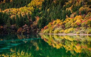 Картинка река, отражение, лес, осень, пейзаж, природа
