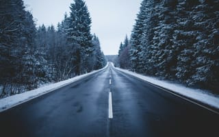 Картинка дорога, зима, деревья, природа