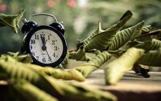 Картинка листья, часы, будильник, время, боке, ayeshadows, циферблат