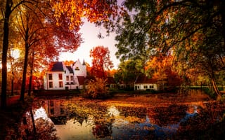 Картинка деревья, природа, пруд, дома, отражение, осень