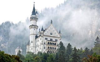 Обои туман, нойшванштайн, замок, башня, бавария, германия