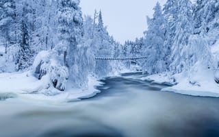 Картинка река, мост, зима, jari ehrstrom, лес, природа