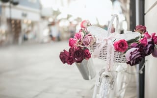 Картинка розы, велосипед, улица