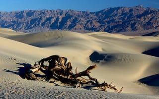 Картинка горы, дюны, пейзаж, песок, пустыня, коряга