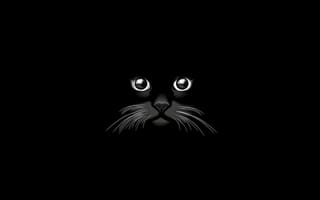 Картинка вектор, кот, черный, графика
