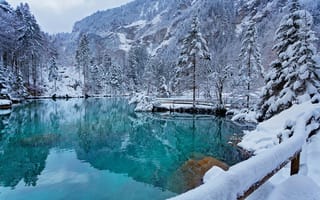 Картинка озеро, снег, лес, природа, зима, пейзаж