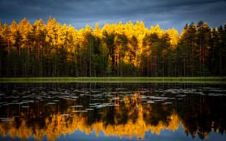 Картинка небо, лес, озеро, природа, деревья, отражение, осень