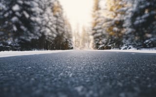 Картинка дорога, природа, зима, лес