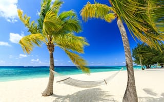 Картинка берег, море, пальмы, карибы, песок, гамак, тропики, пляж