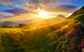 Картинка цветы, трава, пейзаж, солнечный свет, облака, закат, лучи, горы