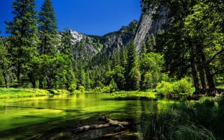 Картинка горы, деревья, йосемитский национальный парк, лес