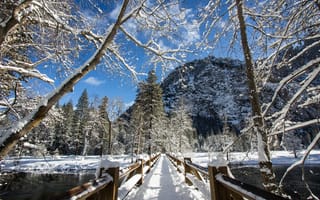 Картинка река, снег, природа, деревья, зима, йосемитский национальный парк