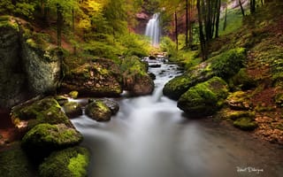 Обои река, лес, водопад, природа, осень