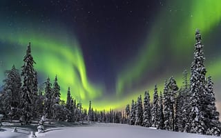 Картинка ночь, лес, северное сияние, зима, природа