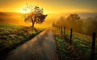 Обои дорога, забор, солнце, рассвет, дерево, природа, пейзаж, утро