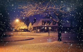 Картинка деревья, снег, природа, зима, дом, вечер