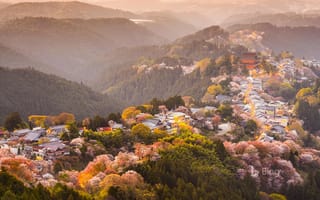 Картинка деревья, весна, сакура, горы, yoshino, цветение, япония, город