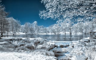 Картинка небо, зима, озеро, природа, деревья, парк, иней