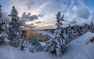 Картинка небо, зима, лес, ладожское озеро, озеро, природа, облака, снег, елки