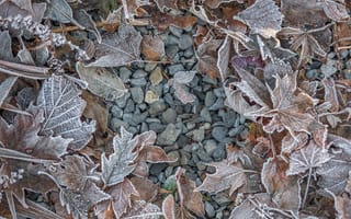 Картинка камни, осень, листья, иней