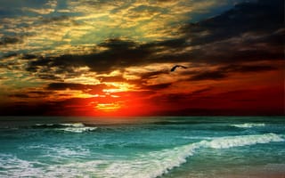 Картинка небо, облака, чайка, море, природа, солнце, волны, берег, вечер, птица, закат