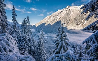Картинка небо, снег, зима, лес, горы, деревья