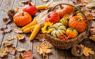 Картинка листья, кукуруза, тыквы, осень, урожай, alexander raths, каштаны, корзина