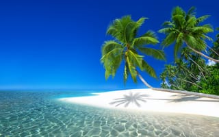 Обои природа, море, пляж, atanas bozhikov, тропики, пейзаж, остров, курорт, сейшелы, пальмы