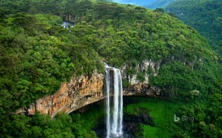 Картинка деревья, cascata do caracol, водопад, мох, скалы, каракол, бразилия