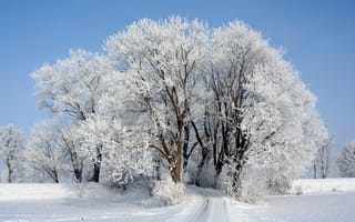 Картинка небо, снег, зима, дорога, деревья, иней