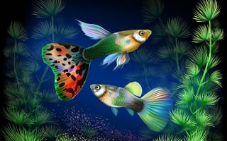 Картинка растения, фантазия, рыбки
