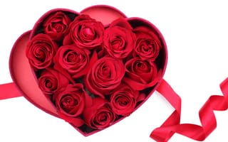 Картинка цветы, розы, красные розы, сердечко, сердце