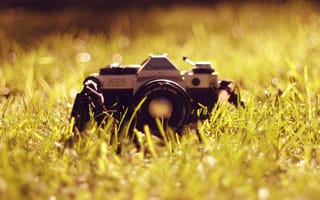 Обои трава, канон, объектив, фотоаппарат, антиквариат