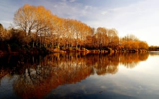Картинка деревья, природа, новая зеландия, отражение, озеро, осень, вода, пейзаж, пруд