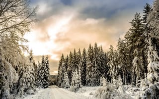 Картинка облака, деревья, снег, лес, зима