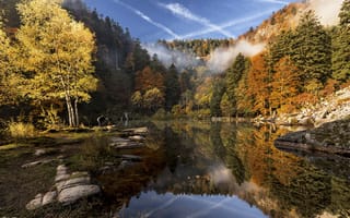 Картинка река, природа, осень, etienne ruff, лес