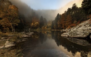 Картинка деревья, река, лес, осень, туман, etienne ruff, природа