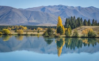 Картинка деревья, озеро, новая зеландия, природа, горы, daniela a. nievergelt, осень, отражение