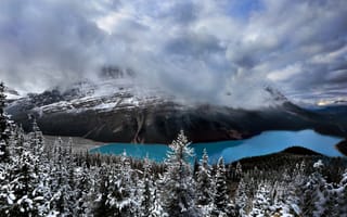 Картинка небо, облака, озеро, лес, горы, национальный парк банф, peyto lake, природа, канада