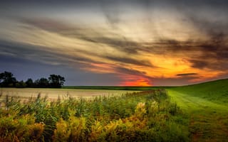 Картинка небо, природа, закат, поле, голландия, grevelingen, нидерланды, лето