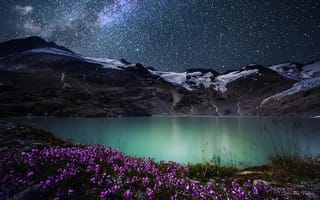 Картинка цветы, simone cmoon, озеро, природа, звезды, ночь, горы